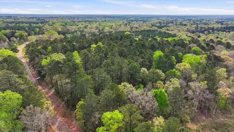0 Harrisville Braxton, Braxton, MS 39044 photo 21