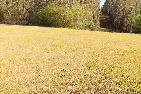Other - 141 Heed Neely Rd, Braxton, MS 39044 photo 3 of 3