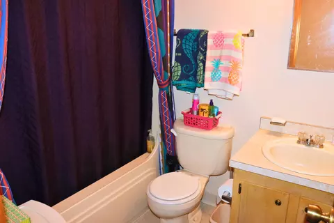 Bath - 141 Heed Neely Rd, Braxton, MS 39044 photo 1 of 1