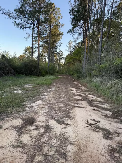 0 Stanford Lk, Poplarville, MS 39470
