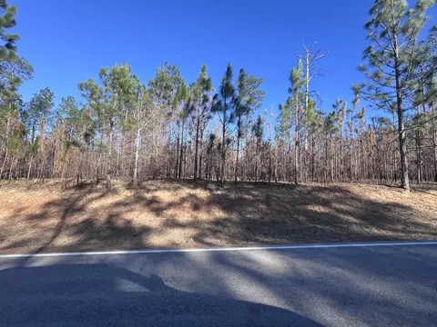 0 Tatum Camp Rd, Purvis, MS 39475
