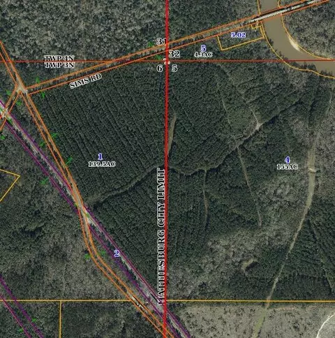 156 Acres James Sims, Hattiesburg, MS 39401