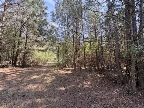 Exterior - 54 Welborn Rd, Laurel, MS 39443 photo 12 of 12