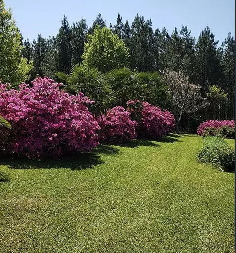 Exterior - 54 Welborn Rd, Laurel, MS 39443 photo 4 of 12