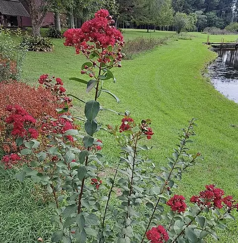 Other - 54 Welborn Rd, Laurel, MS 39443 photo 1 of 18