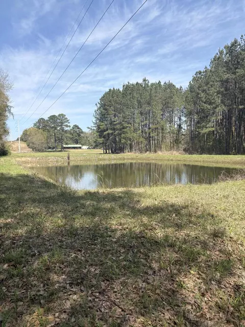 View/Area - 54 Welborn Rd, Laurel, MS 39443 photo 5 of 7