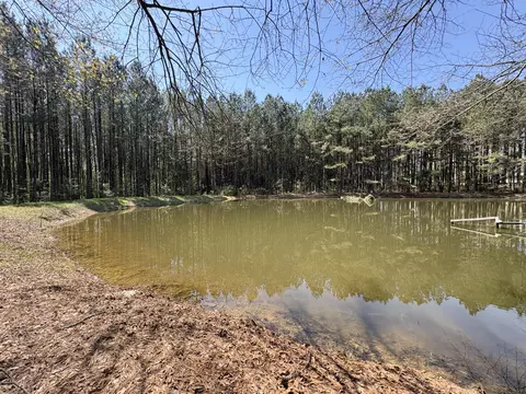 View/Area - 54 Welborn Rd, Laurel, MS 39443 photo 7 of 7