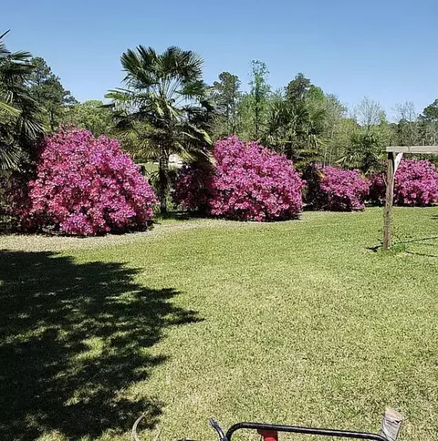 Exterior - 54 Welborn Rd, Laurel, MS 39443 photo 3 of 12