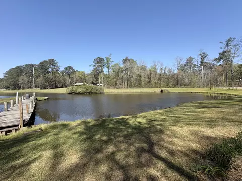 View/Area - 54 Welborn Rd, Laurel, MS 39443 photo 4 of 7