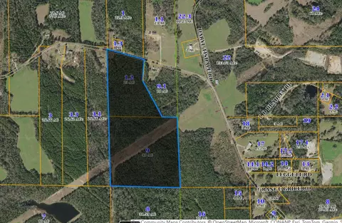 00 Rainey Rd, Moselle, MS 39459
