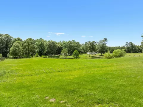 179 Corinth Cut Off, Purvis, MS 39475 photo 2