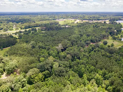 Parcel 3 Stovall Ln., Summit, MS 39666 photo 23