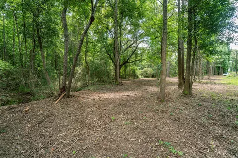 Parcel 3 Stovall Ln., Summit, MS 39666 photo 10