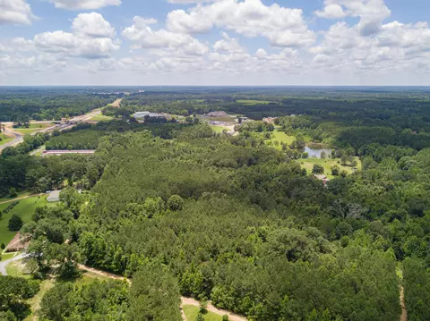 Parcel 3 Stovall Ln., Summit, MS 39666 photo 20