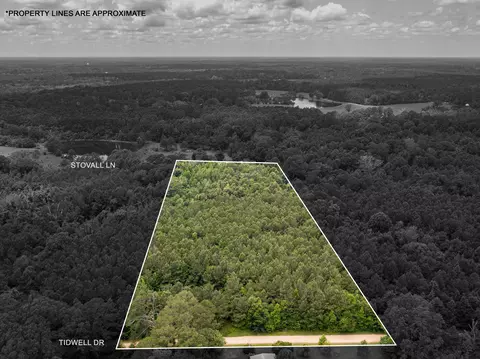 Parcel 3 Stovall Ln., Summit, MS 39666 photo 2