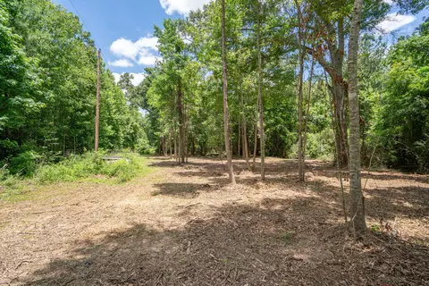 Parcel 3 Stovall Ln., Summit, MS 39666 photo 4
