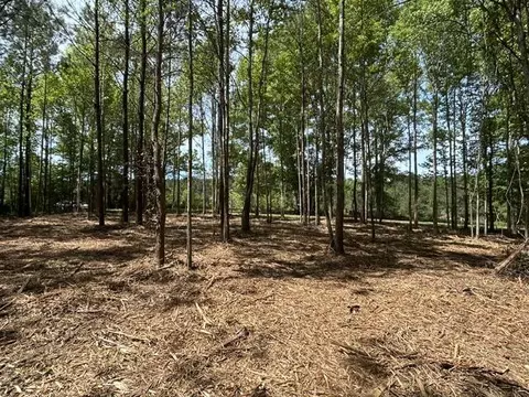 Parcel 3 Stovall Ln., Summit, MS 39666 photo 3
