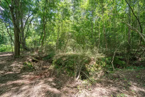 Parcel 3 Stovall Ln., Summit, MS 39666 photo 7