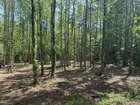 Parcel 3 Stovall Ln., Summit, MS 39666 photo 2