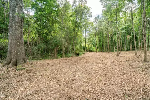 Parcel 3 Stovall Ln., Summit, MS 39666 photo 17