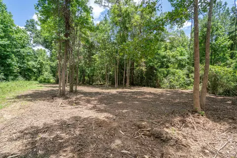 Parcel 3 Stovall Ln., Summit, MS 39666 photo 5