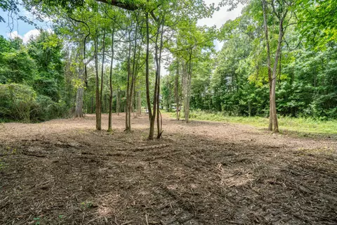 Parcel 3 Stovall Ln., Summit, MS 39666 photo 14
