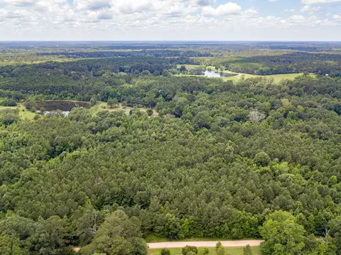 Parcel 3 Stovall Ln., Summit, MS 39666 photo 28