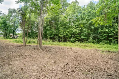 Parcel 3 Stovall Ln., Summit, MS 39666 photo 16