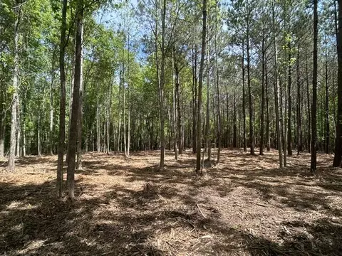Parcel 4 Stovall Ln., Summit, MS 39666 photo 4