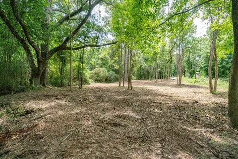 Parcel 4 Stovall Ln., Summit, MS 39666 photo 12