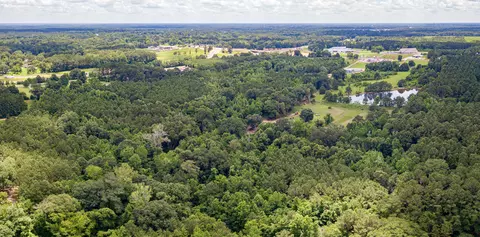 Parcel 4 Stovall Ln., Summit, MS 39666 photo 20