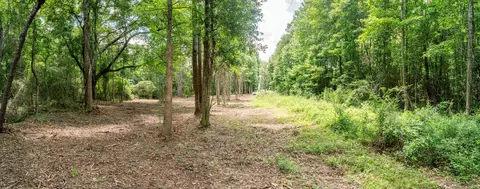 Parcel 4 Stovall Ln., Summit, MS 39666 photo 10