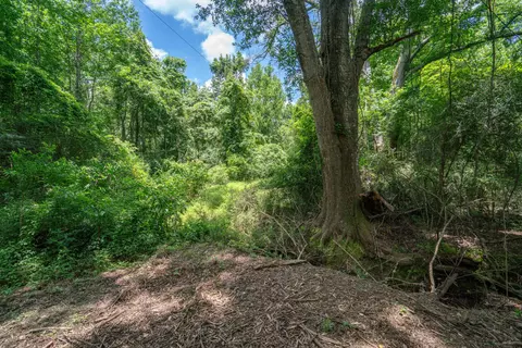 Parcel 4 Stovall Ln., Summit, MS 39666 photo 8