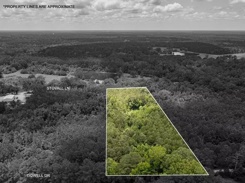 Parcel 4 Stovall Ln., Summit, MS 39666 photo 2