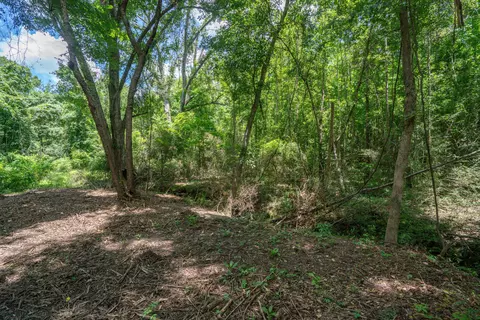 Parcel 4 Stovall Ln., Summit, MS 39666 photo 7