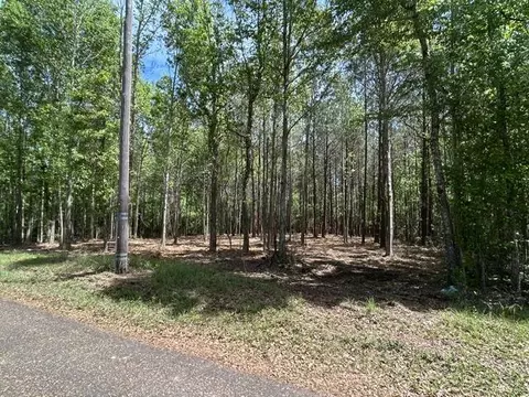 Parcel 4 Stovall Ln., Summit, MS 39666 photo 6