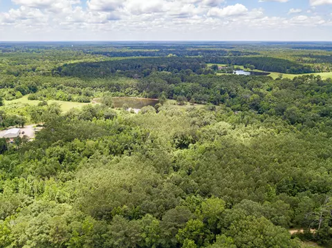 Parcel 4 Stovall Ln., Summit, MS 39666 photo 23