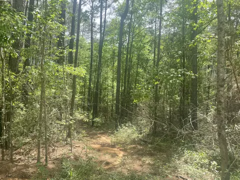 9 5 Acres Debbie Brown Rd, Purvis, MS 39475 photo 5