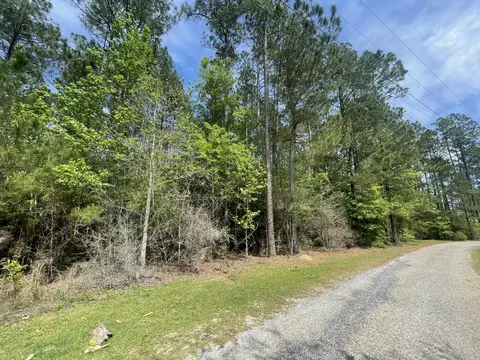 9 5 Acres Debbie Brown Rd, Purvis, MS 39475 photo 8