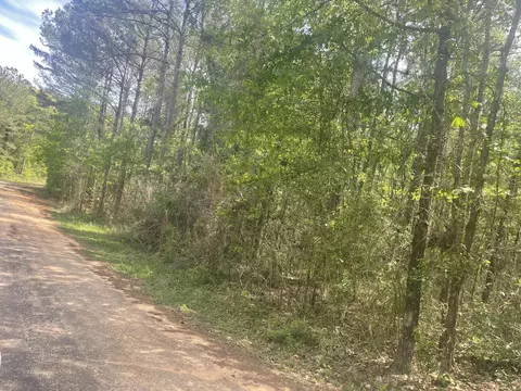 9 5 Acres Debbie Brown Rd, Purvis, MS 39475 photo 4
