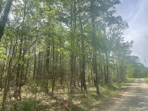 9 5 Acres Debbie Brown Rd, Purvis, MS 39475 photo 3