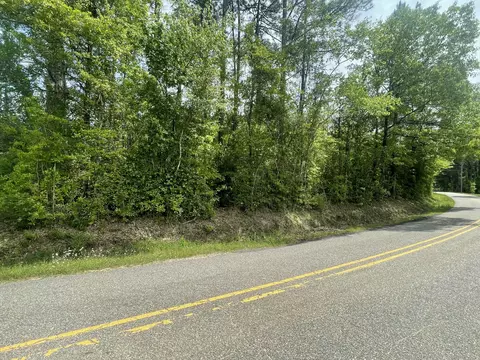 9 5 Acres Debbie Brown Rd, Purvis, MS 39475 photo 7