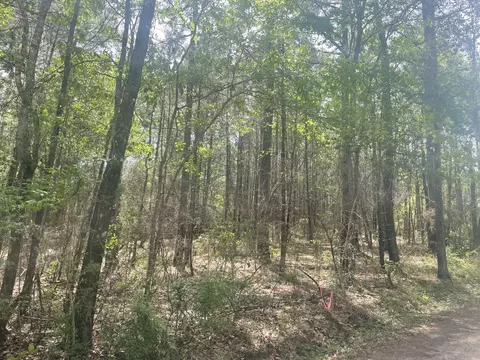 9 5 Acres Debbie Brown Rd, Purvis, MS 39475