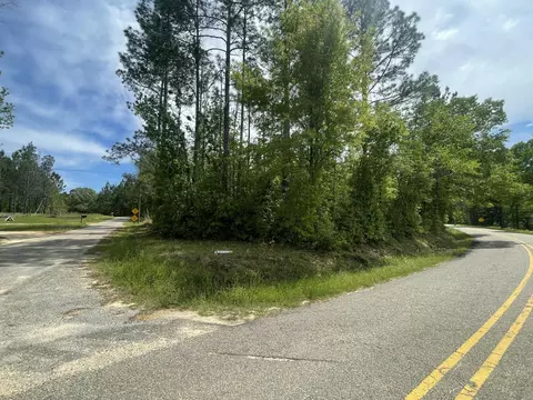 9 5 Acres Debbie Brown Rd, Purvis, MS 39475 photo 6