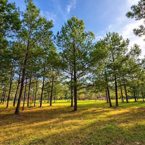 7 Acres F Z Goss, Picayune, MS 39466