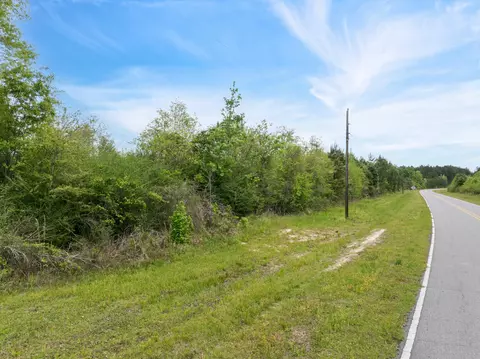 14 3-ac Willow Dr, Richton, MS 39476 photo 3