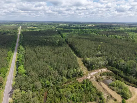 0 Route 11, Moselle, MS 39459