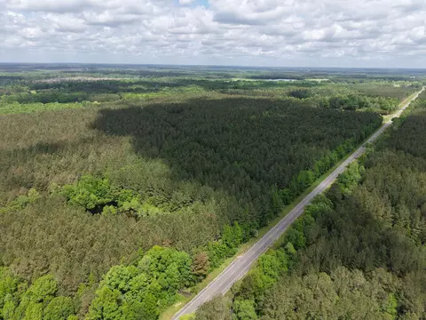 00 Route 11, Moselle, MS 39459