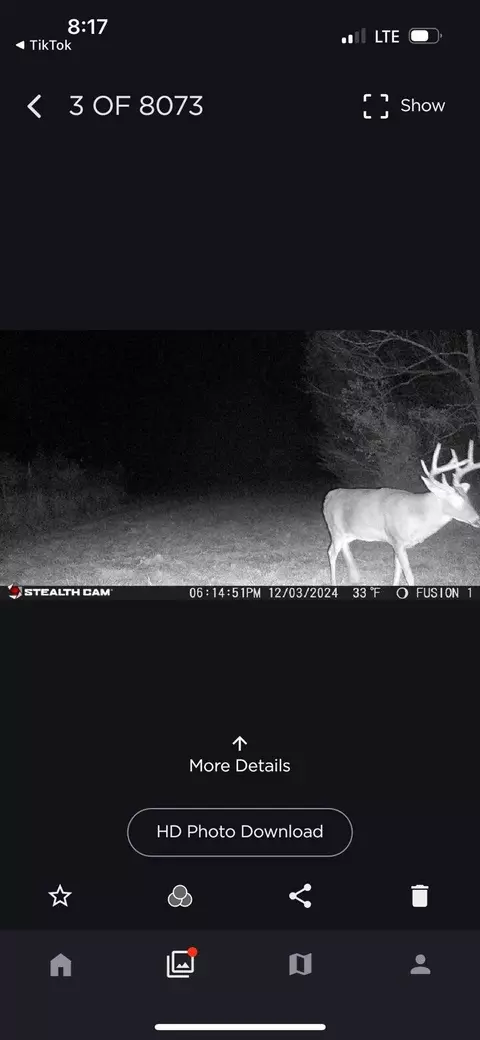 72 Summers Magee, Kokomo, MS 39643 photo 17