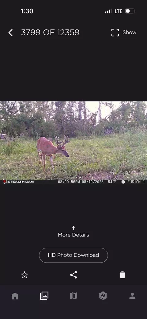 72 Summers Magee, Kokomo, MS 39643 photo 21